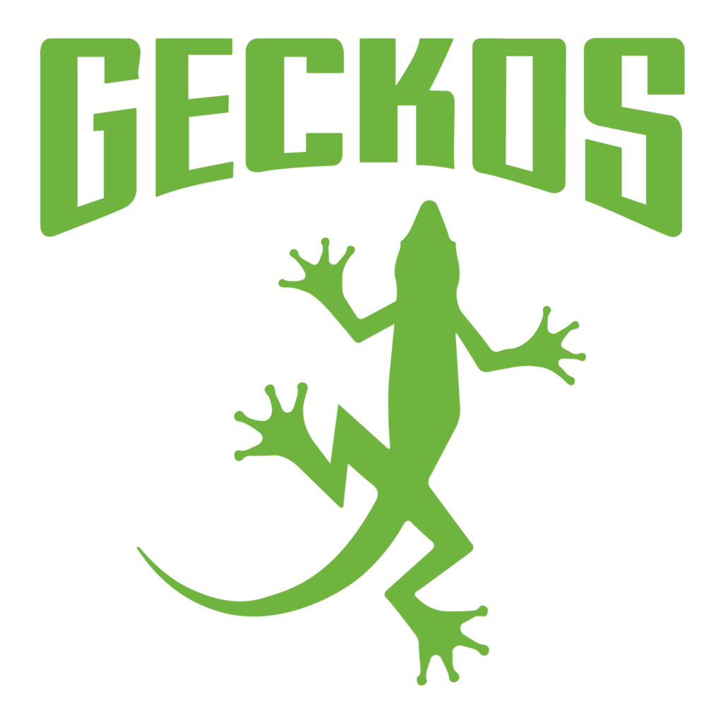 Stylized green gecko logo with GECKOS