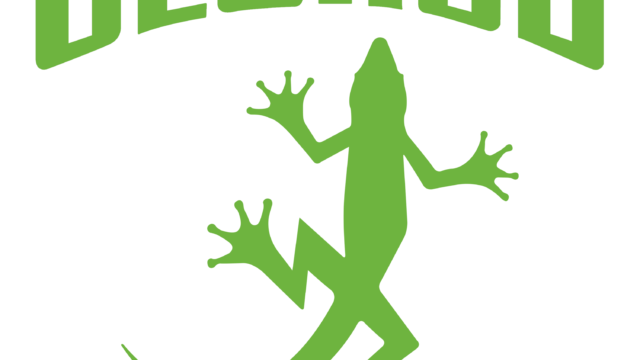 Stylized green gecko logo with GECKOS