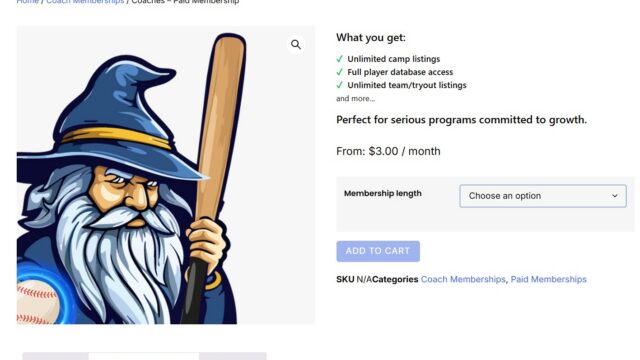 Baseball wizard mascot holding wooden bat